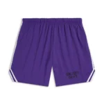 GALLERY DEPT VENICE COURT SHORTS purple front